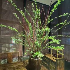 SHANG SHAN ·ZHONG GUO CHU FANG(JIAN FA JFC PIN SHANG ZHONH XIN DIAN) 여행 사진