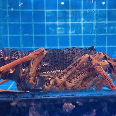 九思堂沈家门海鲜(歙县店) User Photo