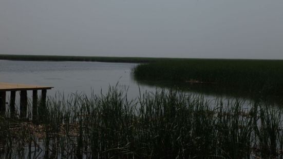 哈素海是黃河變遷而遺留的牛軛湖，屬大黑河水系的外流淡水湖泊。