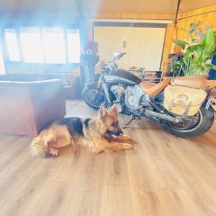 邀邻酒109公路酒馆 User Photo