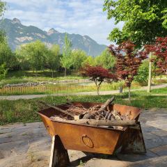 月湖餐厅 User Photo