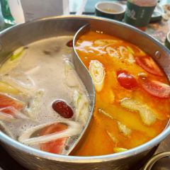 QIONGZHOUZAOPOCU User Photo