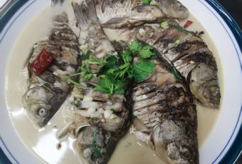 江鱼邨鱼馆 User Photo