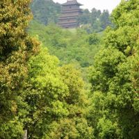 評論圖片 2