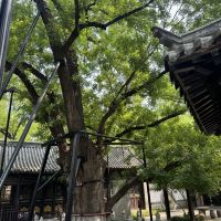 評論圖片 3