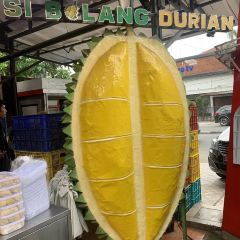 Si Bolang Durian User Photo