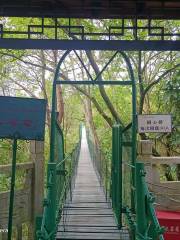 Tongxin Bridge