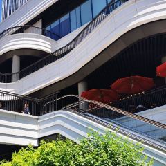 Shake Shack(前滩太古里店) User Photo