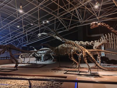 Lufeng Dinosaur Fossil Site