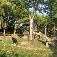 評論圖片 7