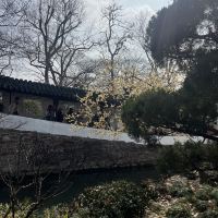 評論圖片 2