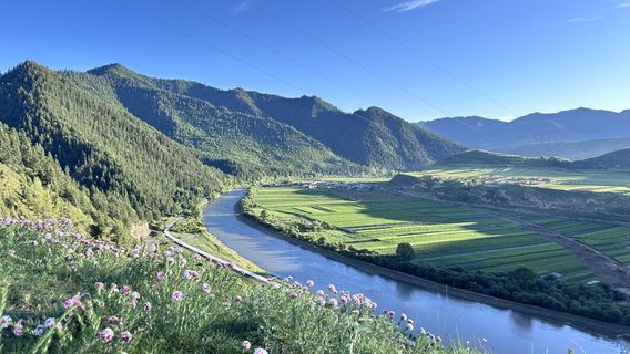 shui mo zha gu lu jing qu