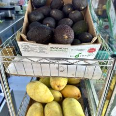 胖子冷饮店 User Photo