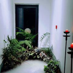 一味清欢·观园 User Photo