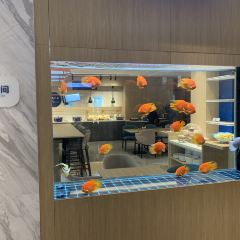 济南临空智选假日酒店(遥墙国际机场店)·智空间.自助餐厅 User Photo