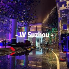 SU YAN User Photo
