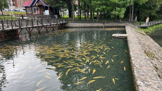 撫松縣露水河國家森林公園真是美得不像話，像畫！咋那麼漂亮呢？