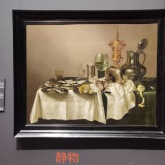 Rijksmuseum User Photo