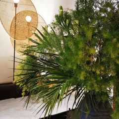 HUATA 'Holiday Plan花榻 User Photo