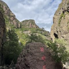 众鑫莜面村 User Photo