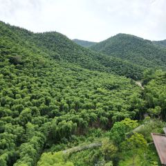 湖州野界森林度假酒店·野界.溶洞餐厅 User Photo