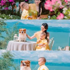 抚仙湖.觅觅花园 User Photo