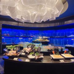 琶洲一号 User Photo