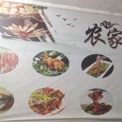 树上土鸡 User Photo