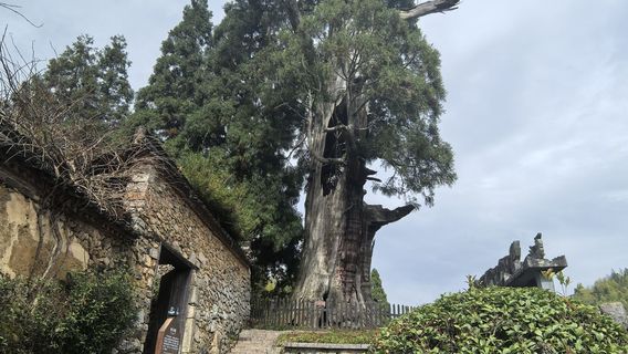 yun zhong da ji - liu shan wang