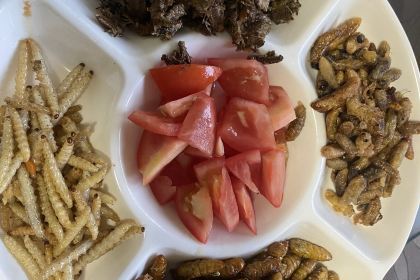 饭菜真香(沿边公路店)