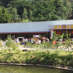Qifengxiuxiandujiashanzhuang User Photo