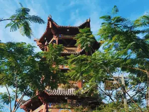 Longzhao Mountain Forest Park