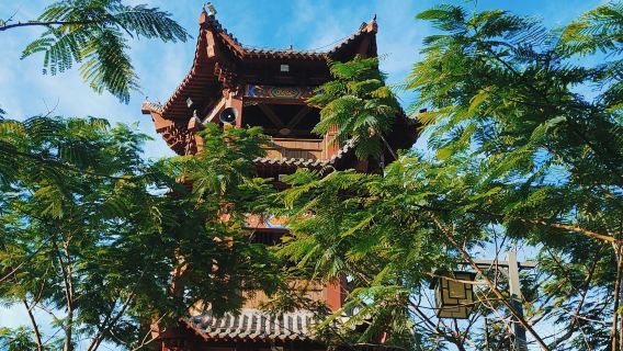Longzhao Mountain Forest Park