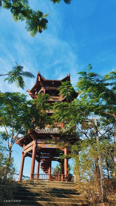Longzhao Mountain Forest Park
