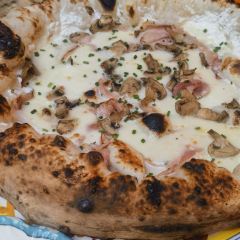 Ober Mamma張用戶圖片