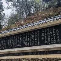 評論圖片 7