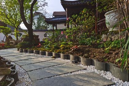 Cuifulaozaosifang Restaurant