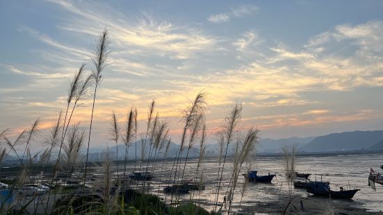 赶在日落前到达北岐滩涂，免费的景点，停车费15元，日落的时候