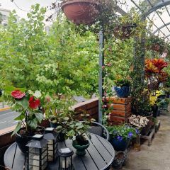 SURE唯尚花园西餐厅 User Photo