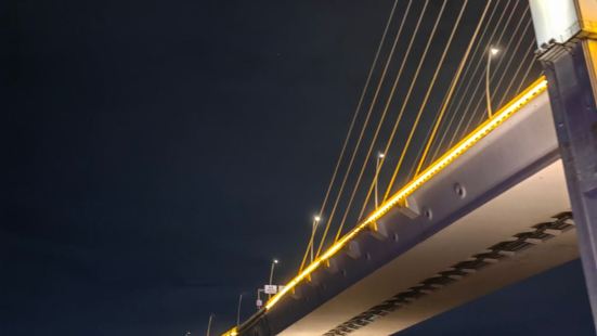 澳门塔是澳门的标志性建筑之一，高338米，是观赏城市全景的绝