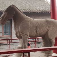 評論圖片 7