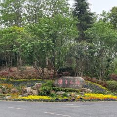 Nan Jing Zi Jin Shan Zhuang·Xiang Xian Ting Zhong Can Ting 여행 사진