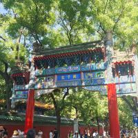 評論圖片 2