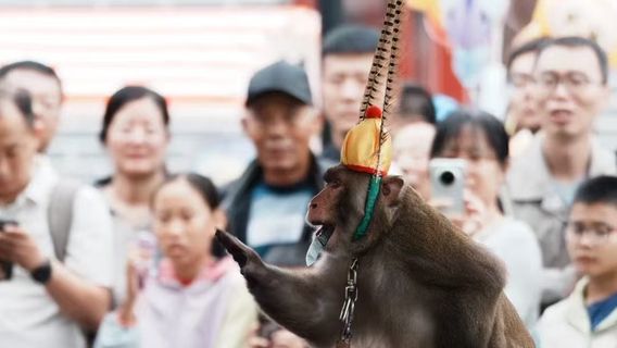 Wuqiao Acrobatics World - Comical Zoo