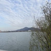 評論圖片 8