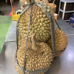 Si Bolang Durian User Photo