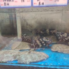 Guests come Banquet QingZhou User Photo
