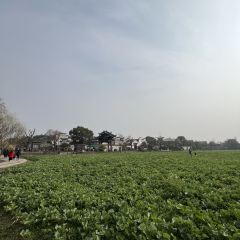 一尺花园(广富林店) User Photo