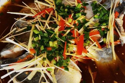 CHUAN ZHU SI NIAN YU ZHUANG ZONG DIAN