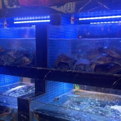 老胡柴火魚總店張用戶圖片